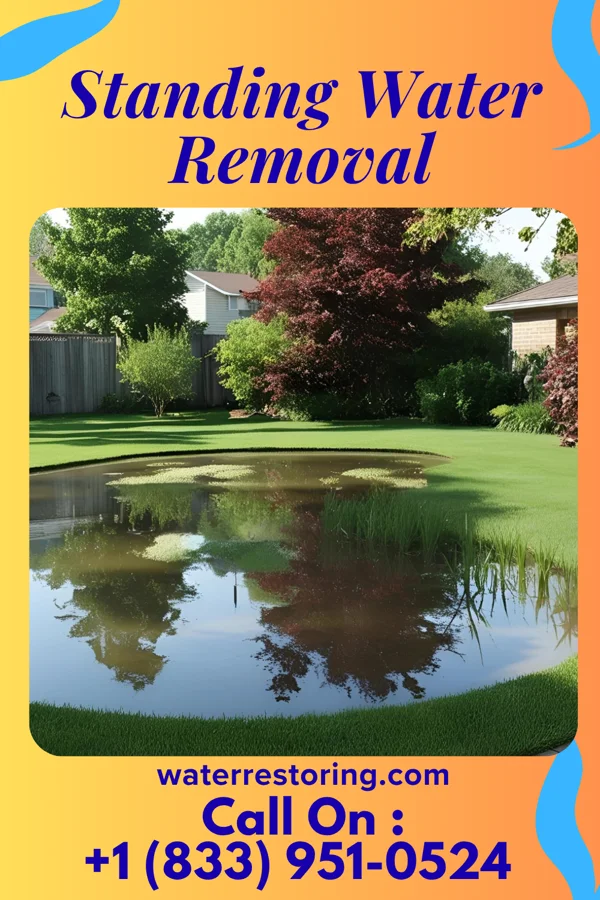 Standing Water Removal in Herington, KS